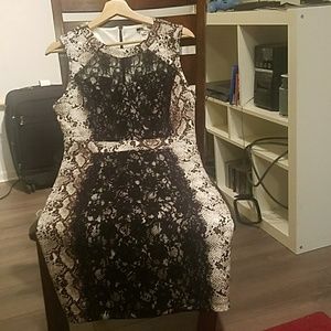 NIKIBIKI Cocktail dresses